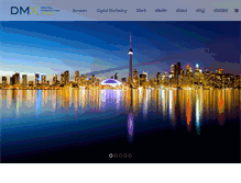 Tablet Screenshot of dmxperts.com